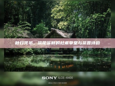 秋日凭吊，浣花溪畔的杜甫草堂与茶香诗韵