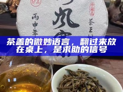 茶盖的微妙语言，翻过来放在桌上，是求助的信号