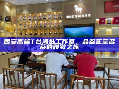 西安品茶全城安排，靠谱工作室的真实推荐
