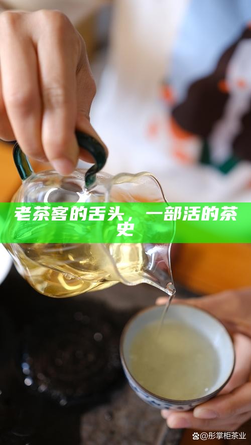 老茶客的舌头,一部活的茶史