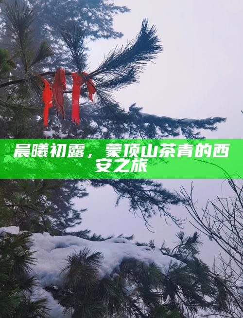 晨曦初露，蒙顶山茶青的西安之旅