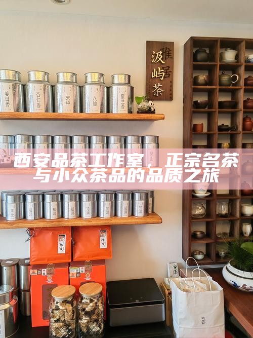 西安品茶工作室,正宗名茶与小众茶品的品质之旅